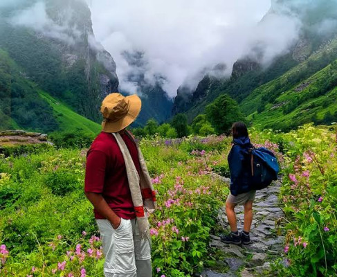 Valley of Flowers 